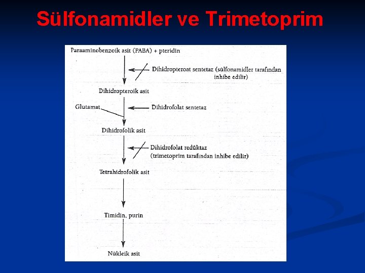 Sülfonamidler ve Trimetoprim 