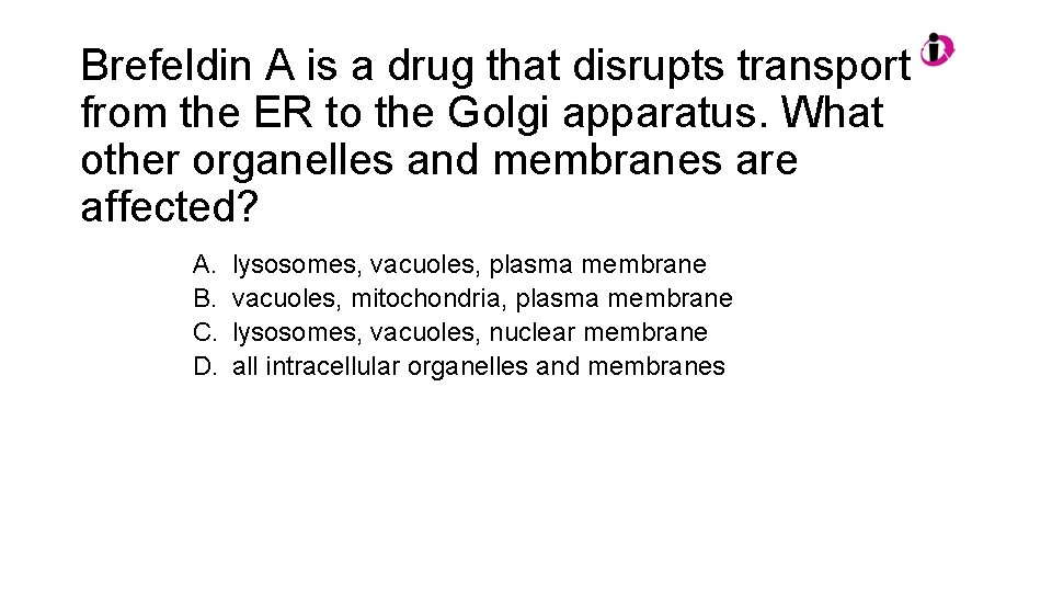 Brefeldin A is a drug that disrupts transport from the ER to the Golgi Brefeldin A is a drug that disrupts transport from the ER to the Golgi
