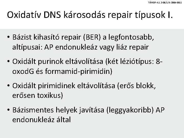 TÁMOP-4. 1. 2 -08/1/A-2009 -0011 Oxidatív DNS károsodás repair típusok I. • Bázist kihasító