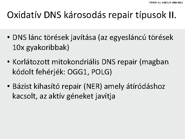 TÁMOP-4. 1. 2 -08/1/A-2009 -0011 Oxidatív DNS károsodás repair típusok II. • DNS lánc