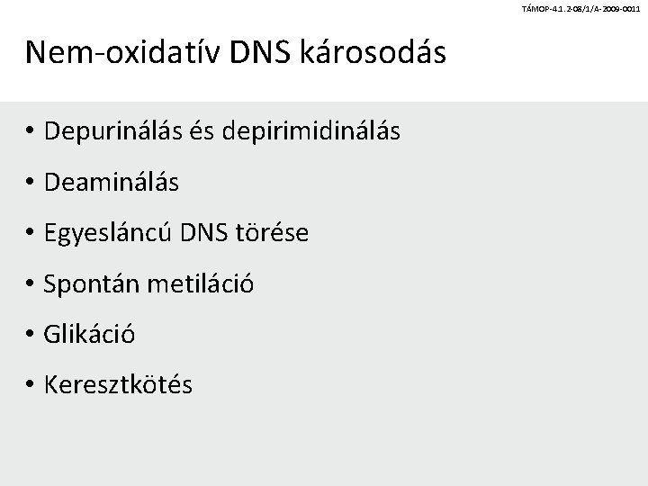 TÁMOP-4. 1. 2 -08/1/A-2009 -0011 Nem-oxidatív DNS károsodás • Depurinálás és depirimidinálás • Deaminálás