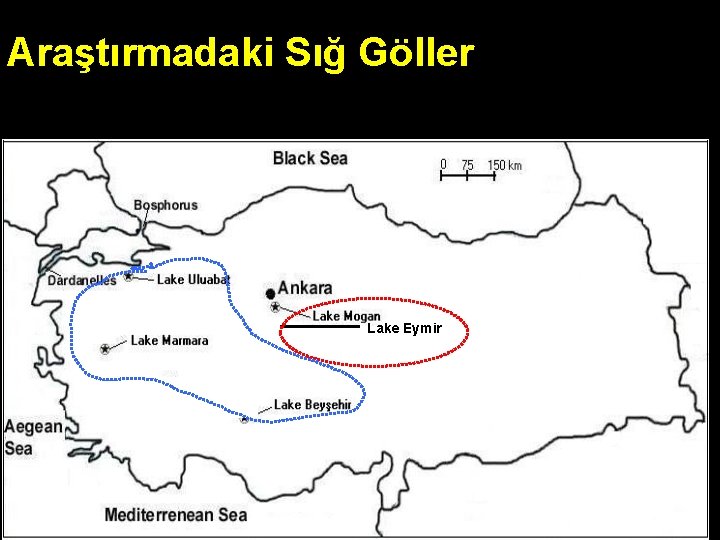 Araştırmadaki Sığ Göller Lake Eymir 