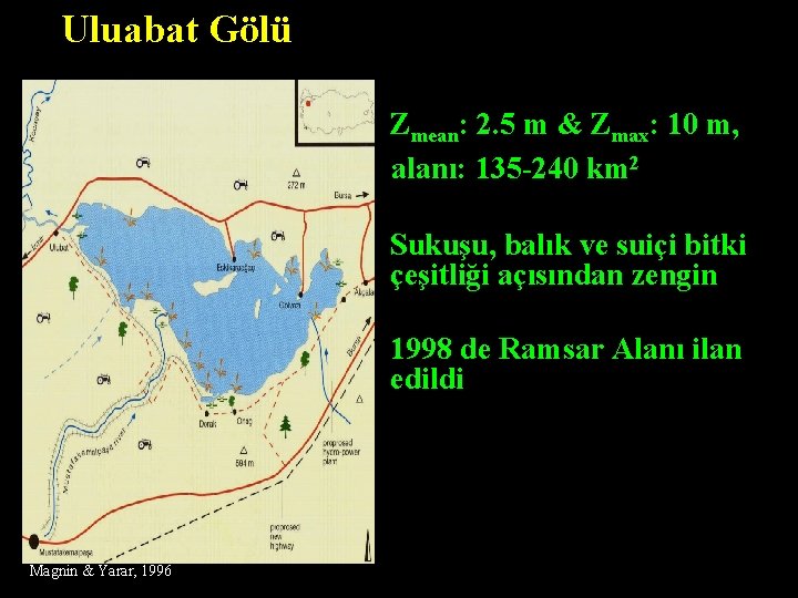 Uluabat Gölü § Zmean: 2. 5 m & Zmax: 10 m, alanı: 135 -240