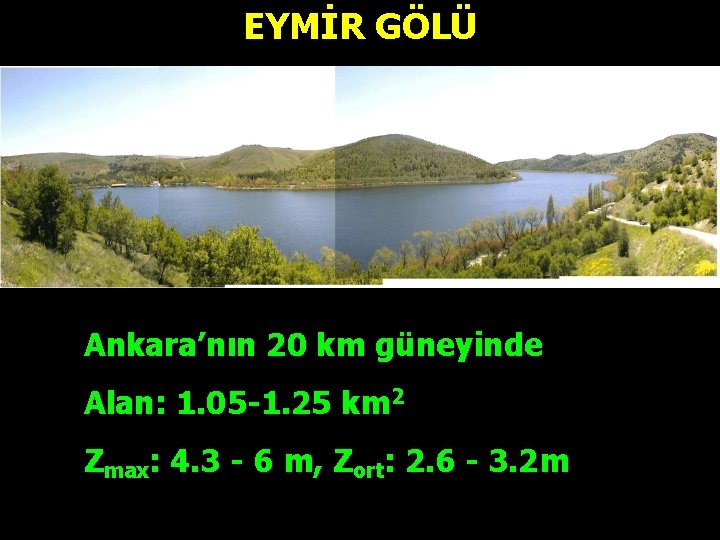 EYMİR GÖLÜ Ankara’nın 20 km güneyinde Alan: 1. 05 -1. 25 km 2 Zmax: