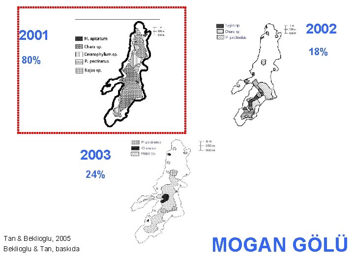 2002 2001 18% 80% 2003 24% Tan & Beklioglu, 2005 Beklioglu & Tan, baskıda