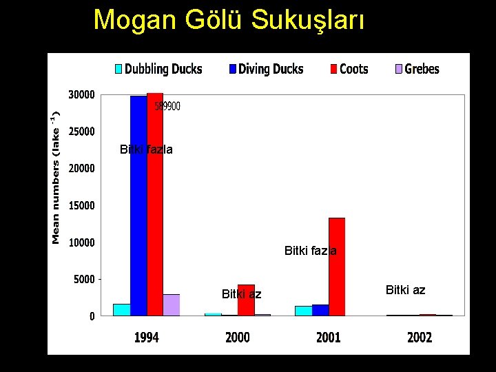 Mogan Gölü Sukuşları Bitki fazla Bitki az 