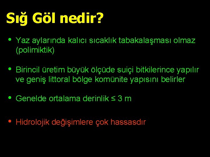 Sığ Göl nedir? • Yaz aylarında kalıcı sıcaklık tabakalaşması olmaz (polimiktik) • Birincil üretim