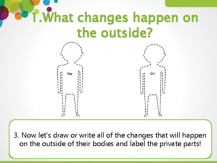1. What changes happen on the outside? Boy Girl 3. Now let’s draw or