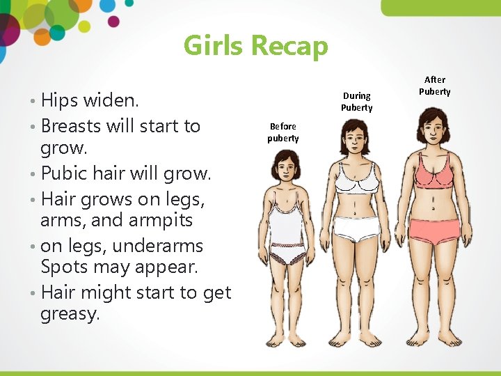 Girls Recap • Hips widen. • Breasts will start to grow. • Pubic hair