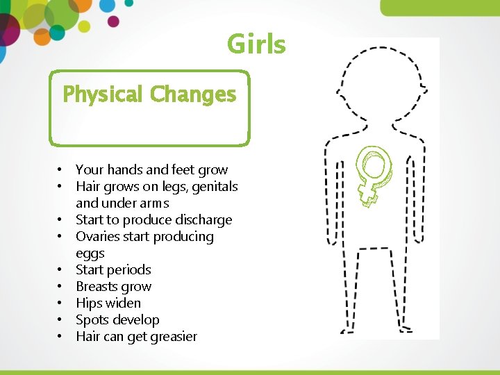 Girls Physical Changes • Your hands and feet grow • Hair grows on legs,