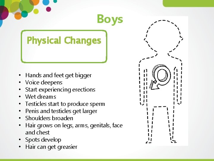 Boys Physical Changes Hands and feet get bigger Voice deepens Start experiencing erections Wet