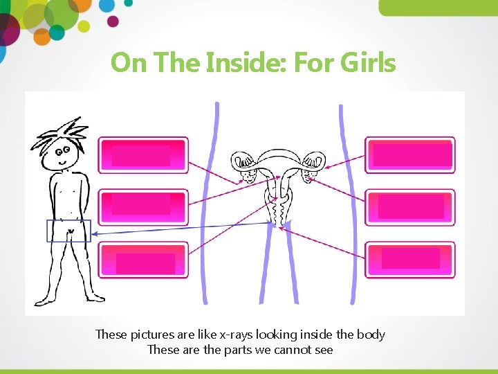 On The Inside: For Girls These pictures are like x-rays looking inside the body