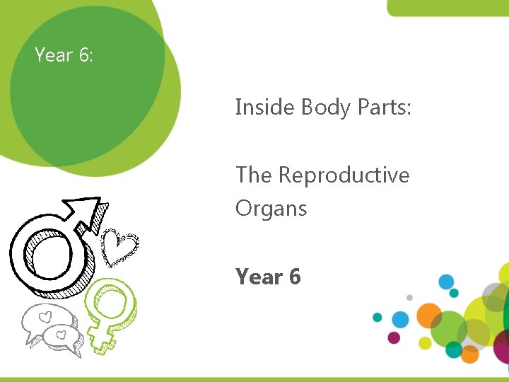 Year 6: Inside Body Parts: The Reproductive Organs Year 6 