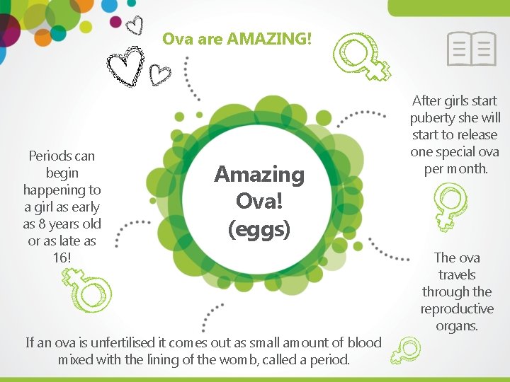 Ova are AMAZING! Periods can begin happening to a girl as early as 8