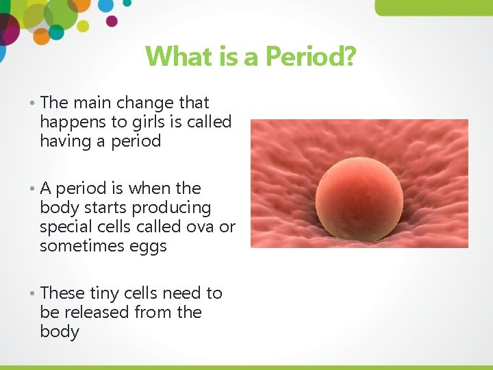 What is a Period? • The main change that happens to girls is called