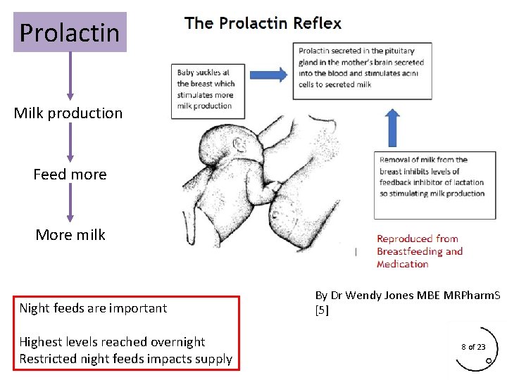 Prolactin Milk production Feed more More milk Night feeds are important Highest levels reached Prolactin Milk production Feed more More milk Night feeds are important Highest levels reached