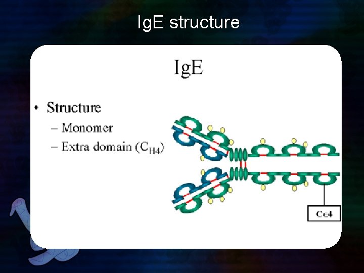 Ig. E structure 