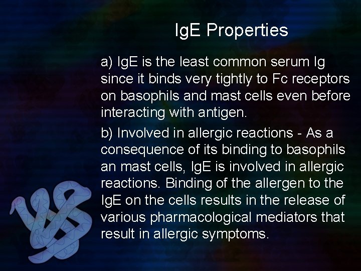 Ig. E Properties a) Ig. E is the least common serum Ig since it