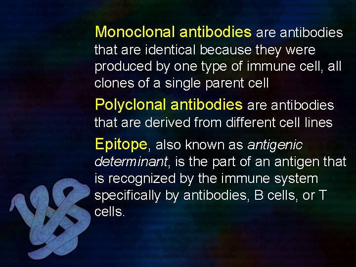 Monoclonal antibodies are antibodies that are identical because they were produced by one type