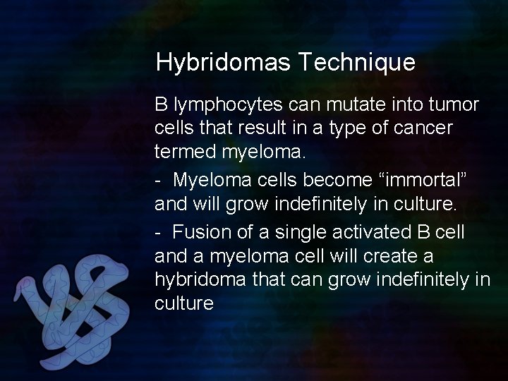 Hybridomas Technique B lymphocytes can mutate into tumor cells that result in a type