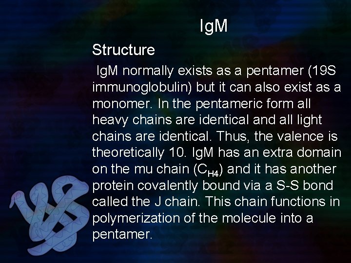 Ig. M Structure Ig. M normally exists as a pentamer (19 S immunoglobulin) but