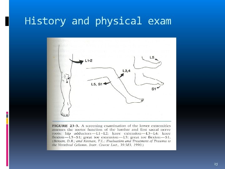 History and physical exam 25 