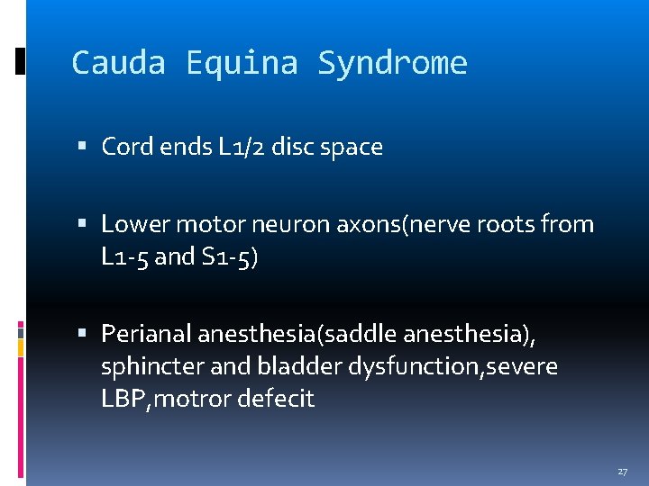 Cauda Equina Syndrome Cord ends L 1/2 disc space Lower motor neuron axons(nerve roots