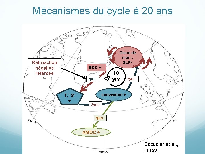 Mécanismes du cycle à 20 ans Glace de mer -, SLP- Rétroaction négative retardée