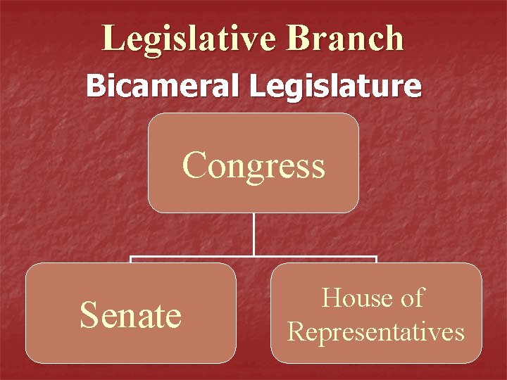 Legislative Branch Bicameral Legislature Congress Senate House of Representatives 