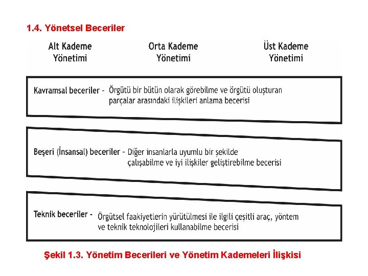 1. 4. Yönetsel Beceriler Şekil 1. 3. Yönetim Becerileri ve Yönetim Kademeleri İlişkisi 