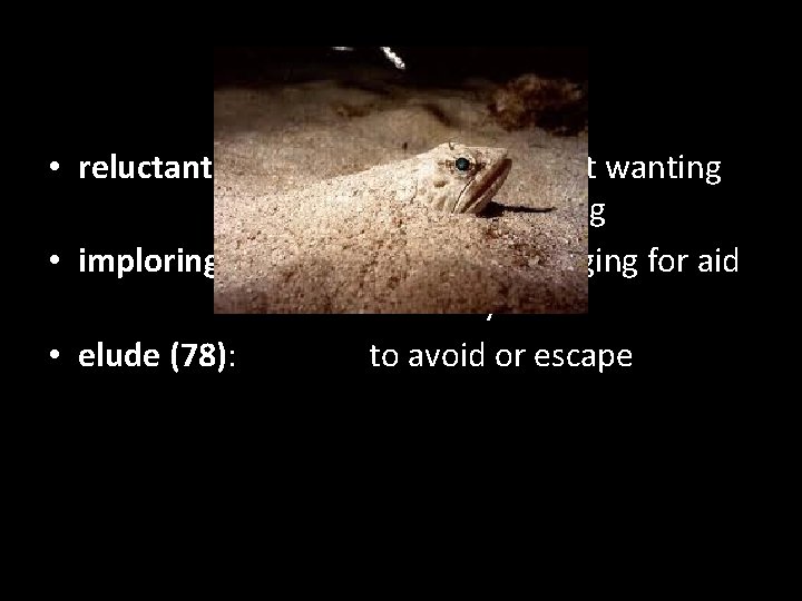Chapter 5 • reluctantly (71): • imploringly (72): • elude (78): unwilling or not Chapter 5 • reluctantly (71): • imploringly (72): • elude (78): unwilling or not