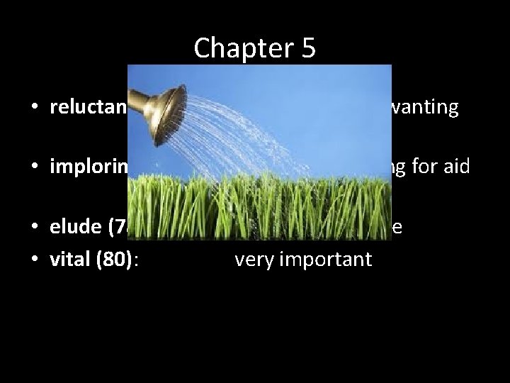 Chapter 5 • reluctantly (71): • imploringly (72): • elude (78): • vital (80): Chapter 5 • reluctantly (71): • imploringly (72): • elude (78): • vital (80):