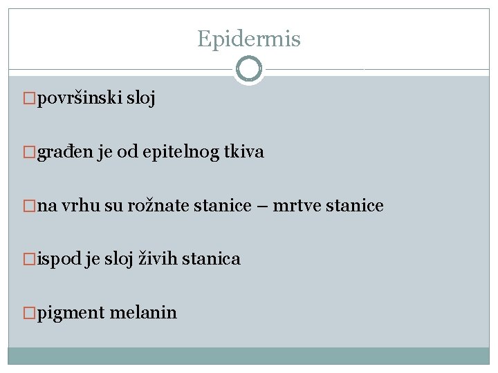 Epidermis �površinski sloj �građen je od epitelnog tkiva �na vrhu su rožnate stanice –