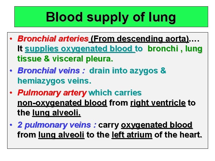 Blood supply of lung • Bronchial arteries (From descending aorta)…. It supplies oxygenated blood