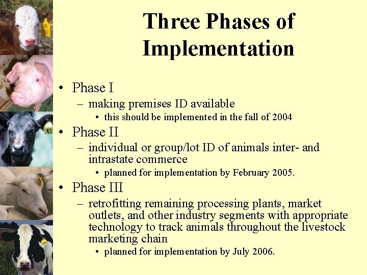 Three Phases of Implementation • Phase I – making premises ID available • this