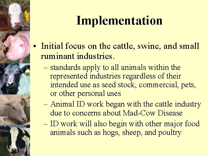 Implementation • Initial focus on the cattle, swine, and small ruminant industries. – standards
