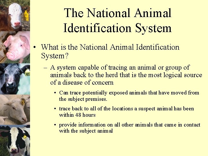 The National Animal Identification System • What is the National Animal Identification System? –