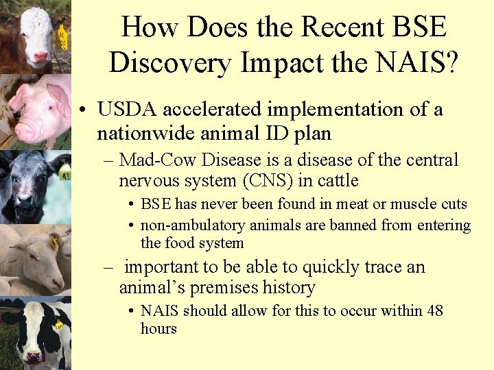 How Does the Recent BSE Discovery Impact the NAIS? • USDA accelerated implementation of