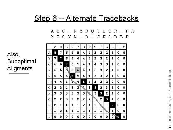Step 6 -- Alternate Tracebacks Also, Suboptimal Aligments 12 (c) M Gerstein '14, Yale,