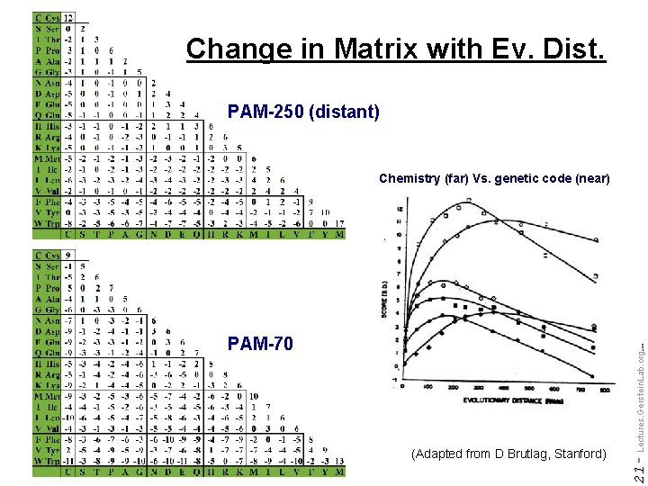 Change in Matrix with Ev. Dist. PAM-250 (distant) Chemistry (far) Vs. genetic code (near)