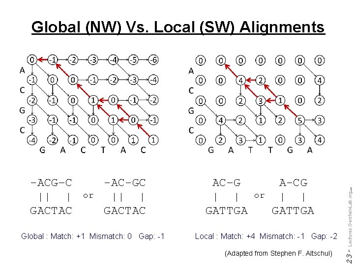 Global : Match: +1 Mismatch: 0 Gap: -1 AC–G | | GATTGA or A-CG