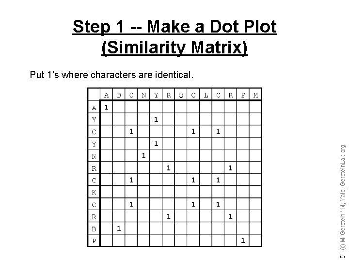 Step 1 -- Make a Dot Plot (Similarity Matrix) 5 (c) M Gerstein '14,