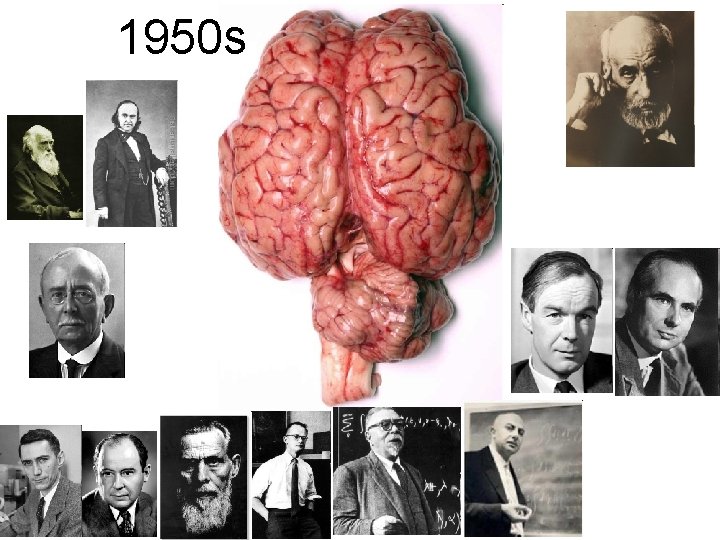 1950 s 