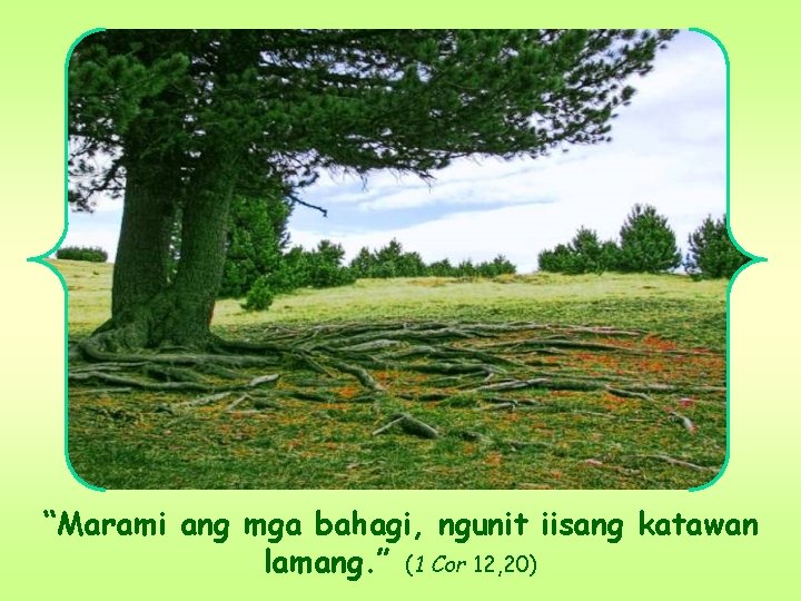 “Marami ang mga bahagi, ngunit iisang katawan lamang. ” (1 Cor 12, 20) “Marami ang mga bahagi, ngunit iisang katawan lamang. ” (1 Cor 12, 20)