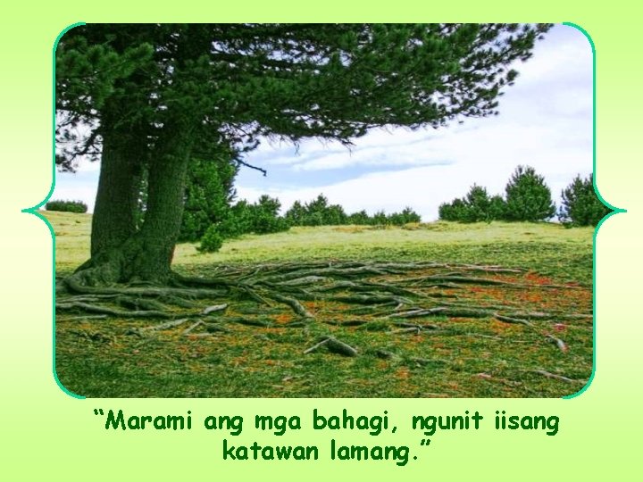 “Marami ang mga bahagi, ngunit iisang katawan lamang. ” “Marami ang mga bahagi, ngunit iisang katawan lamang. ”