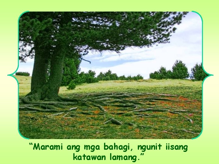 “Marami ang mga bahagi, ngunit iisang katawan lamang. ” “Marami ang mga bahagi, ngunit iisang katawan lamang. ”