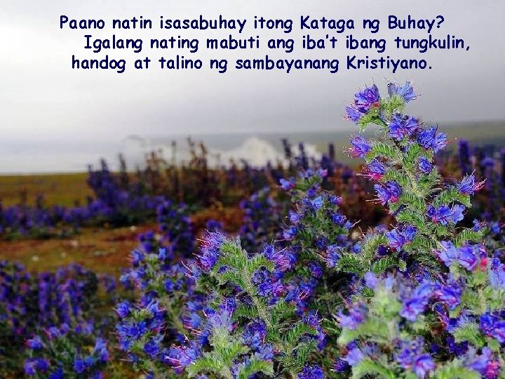 Paano natin isasabuhay itong Kataga ng Buhay? Igalang nating mabuti ang iba’t ibang tungkulin, Paano natin isasabuhay itong Kataga ng Buhay? Igalang nating mabuti ang iba’t ibang tungkulin,