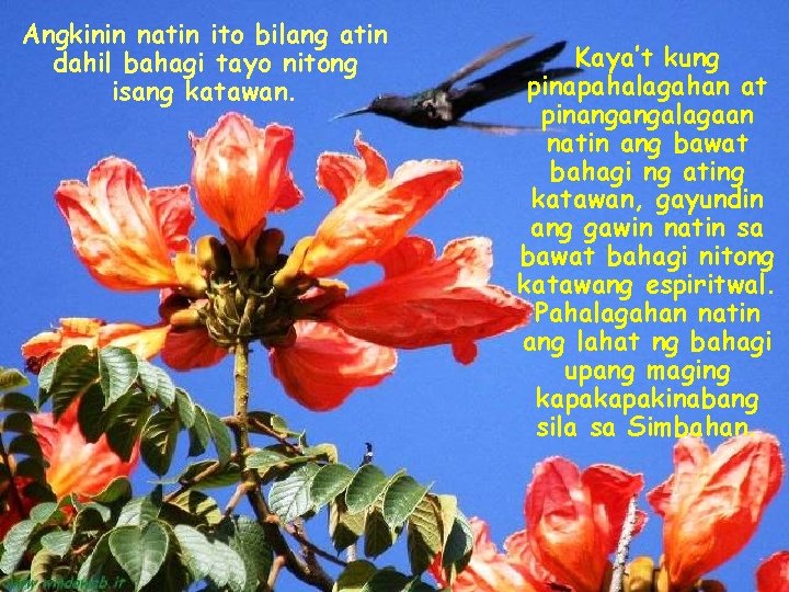 Angkinin natin ito bilang atin dahil bahagi tayo nitong isang katawan. Kaya’t kung pinapahalagahan Angkinin natin ito bilang atin dahil bahagi tayo nitong isang katawan. Kaya’t kung pinapahalagahan