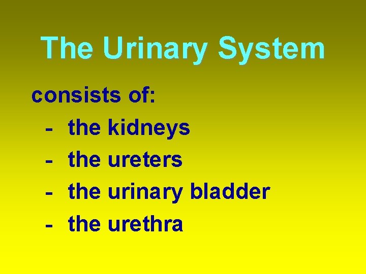 The Urinary System consists of: - the kidneys - the ureters - the urinary