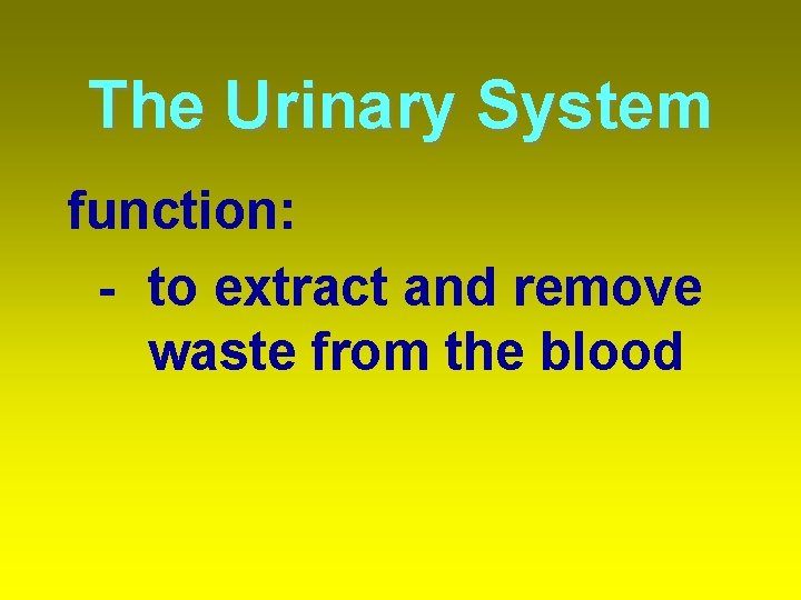 The Urinary System function: - to extract and remove waste from the blood 